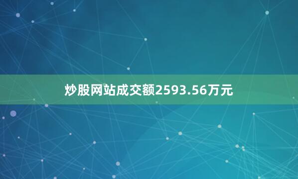 炒股网站成交额2593.56万元